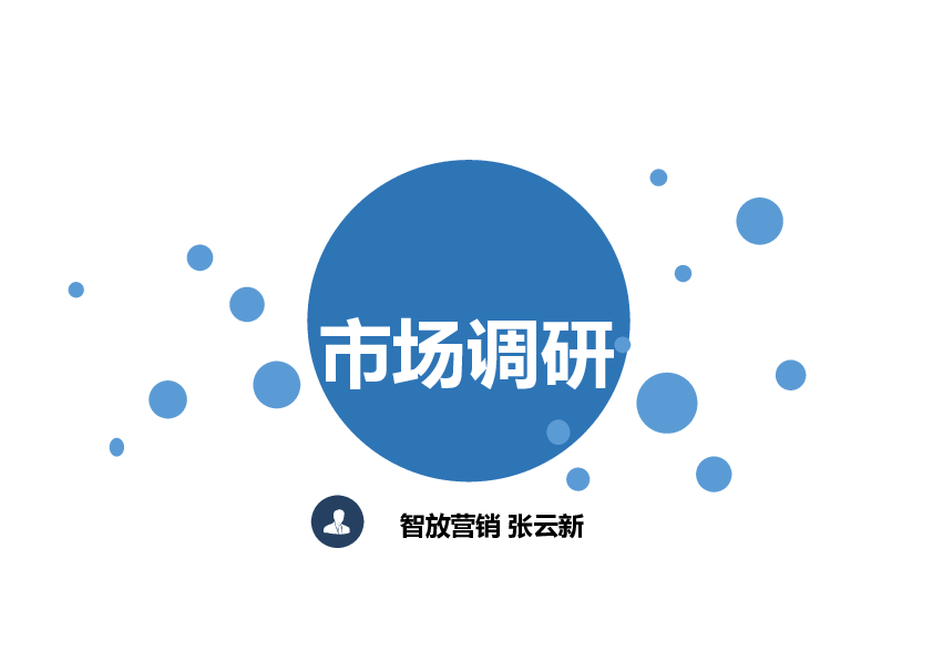 市场调研-张云新.pdf